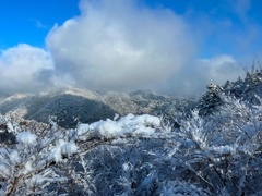 雪山の高尾山