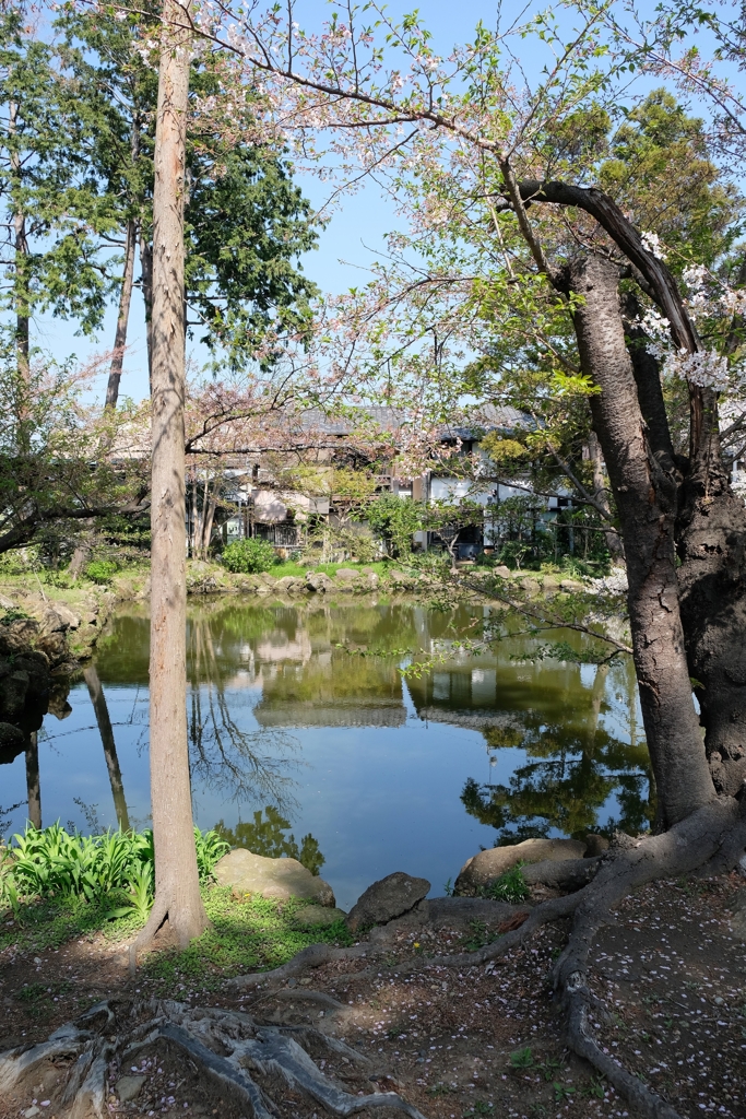 鎌倉