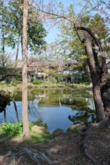 鎌倉