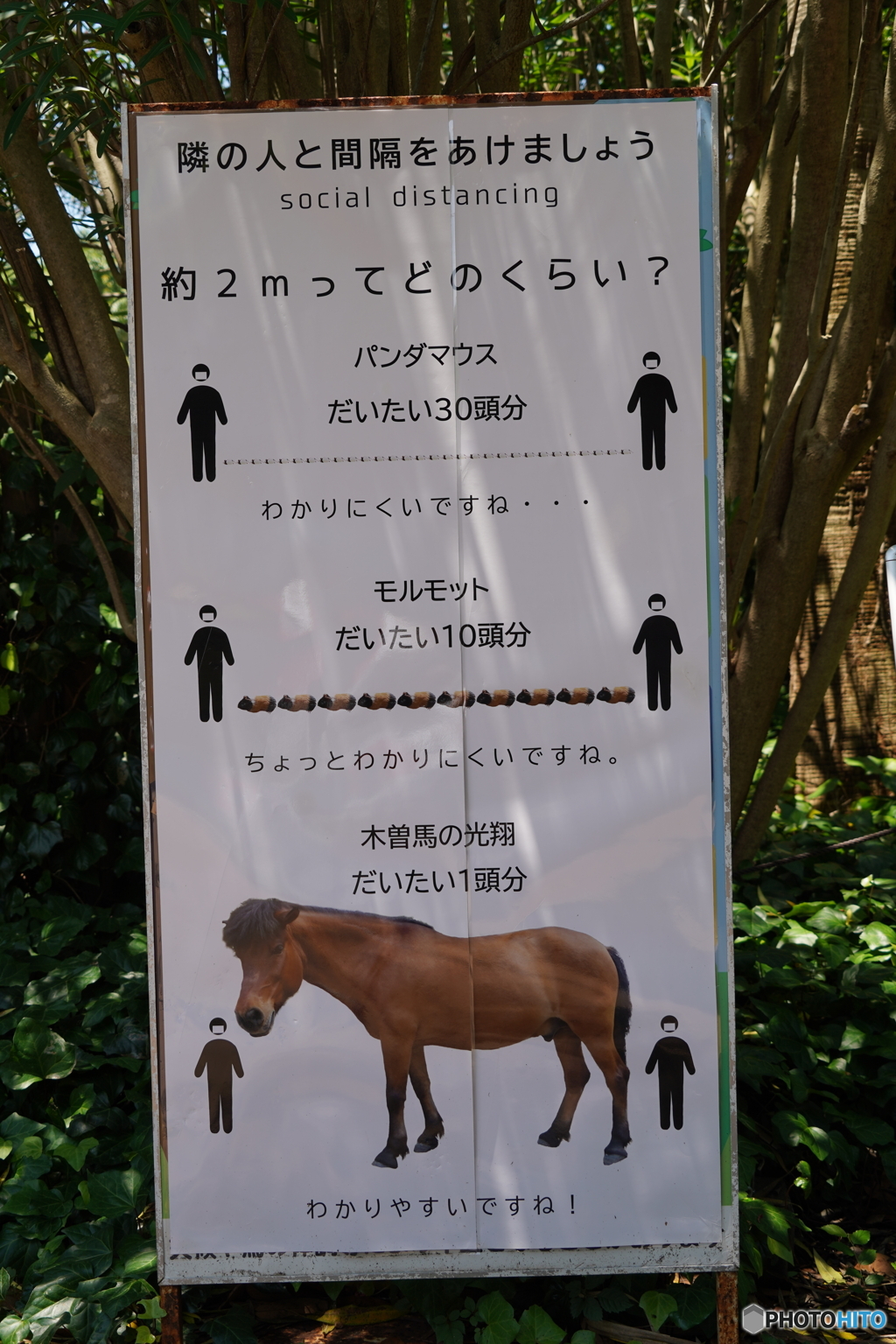 そのディスタンスは後ろには回りたくないです。