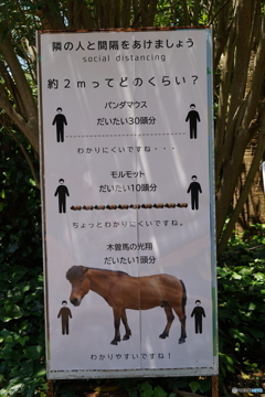 そのディスタンスは後ろには回りたくないです。