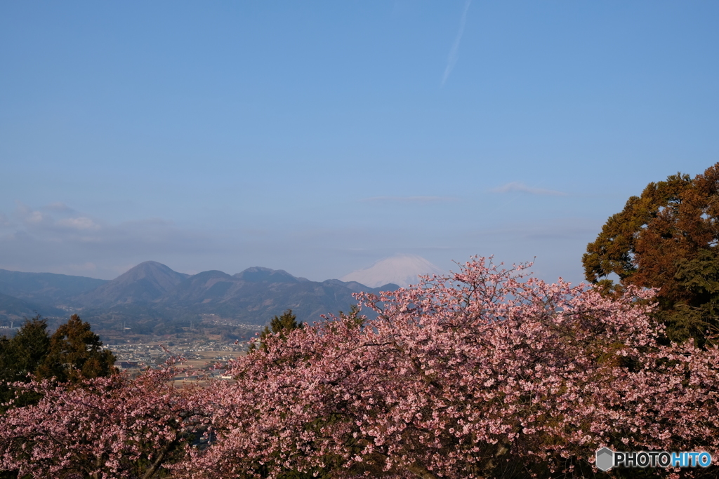 西平畑公園
