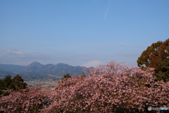 西平畑公園