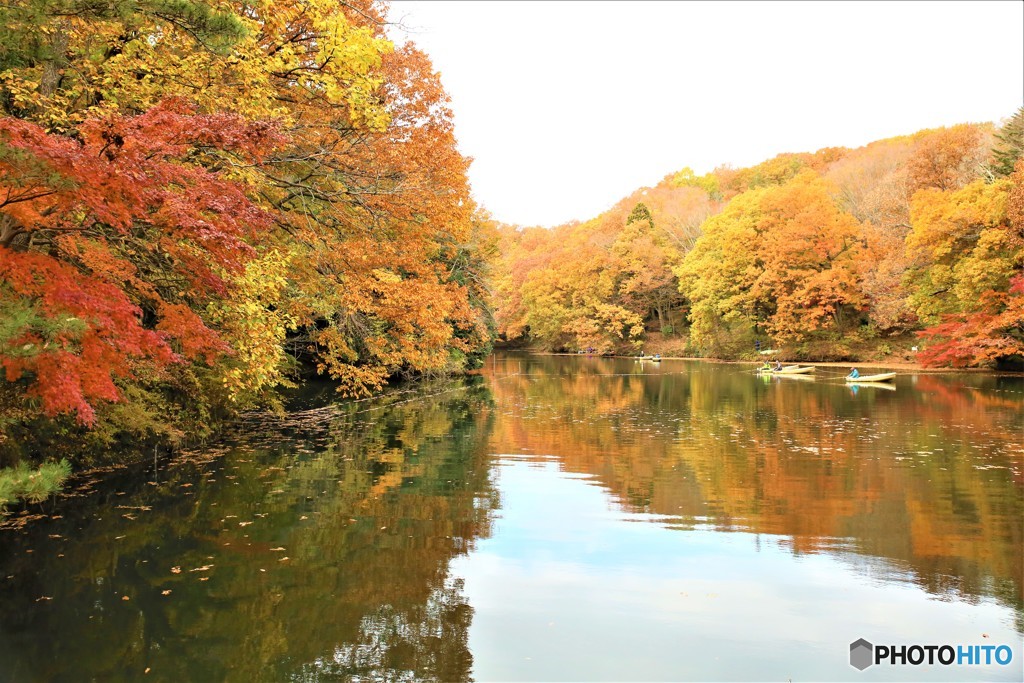 紅葉の池