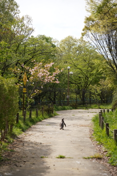 ひとりで大丈夫か？