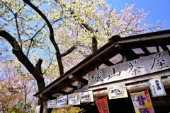 城山茶屋