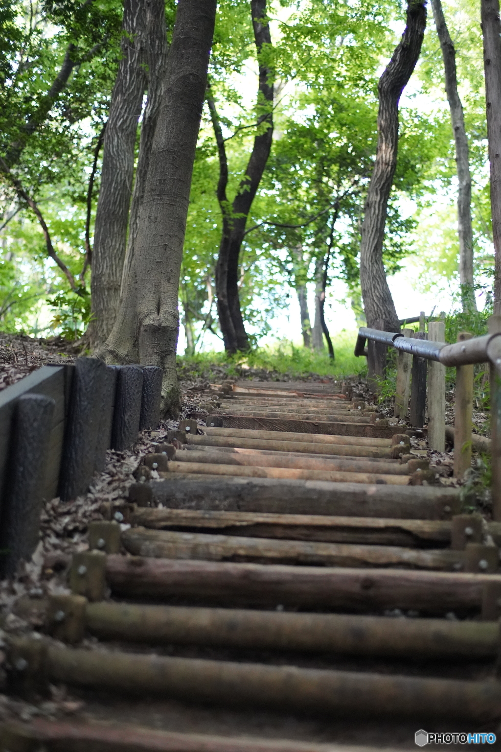 人生は登り道