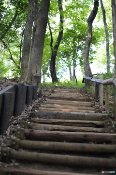 人生は登り道