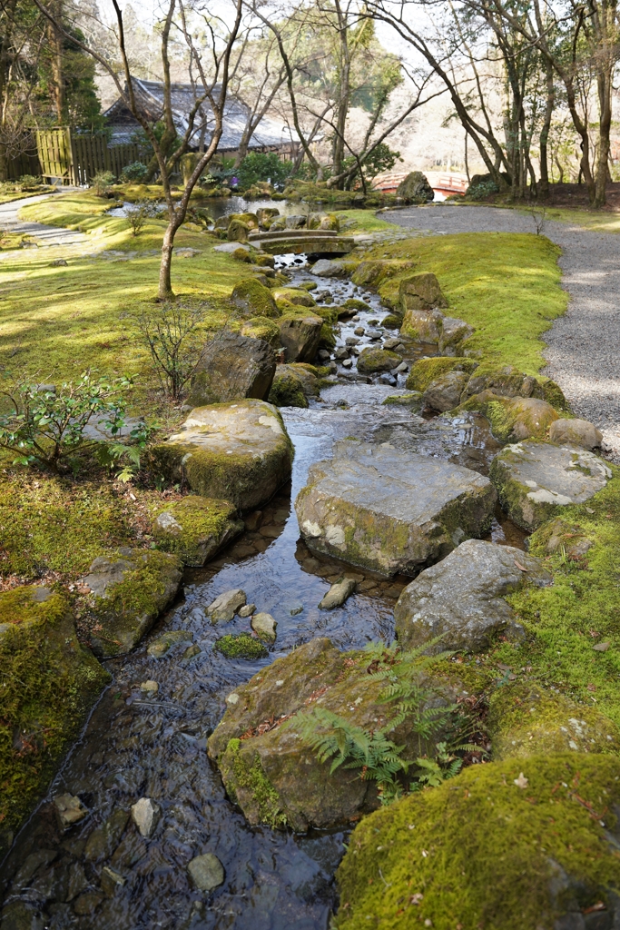 京都にて