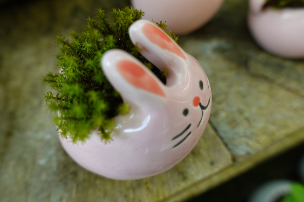 背中に森