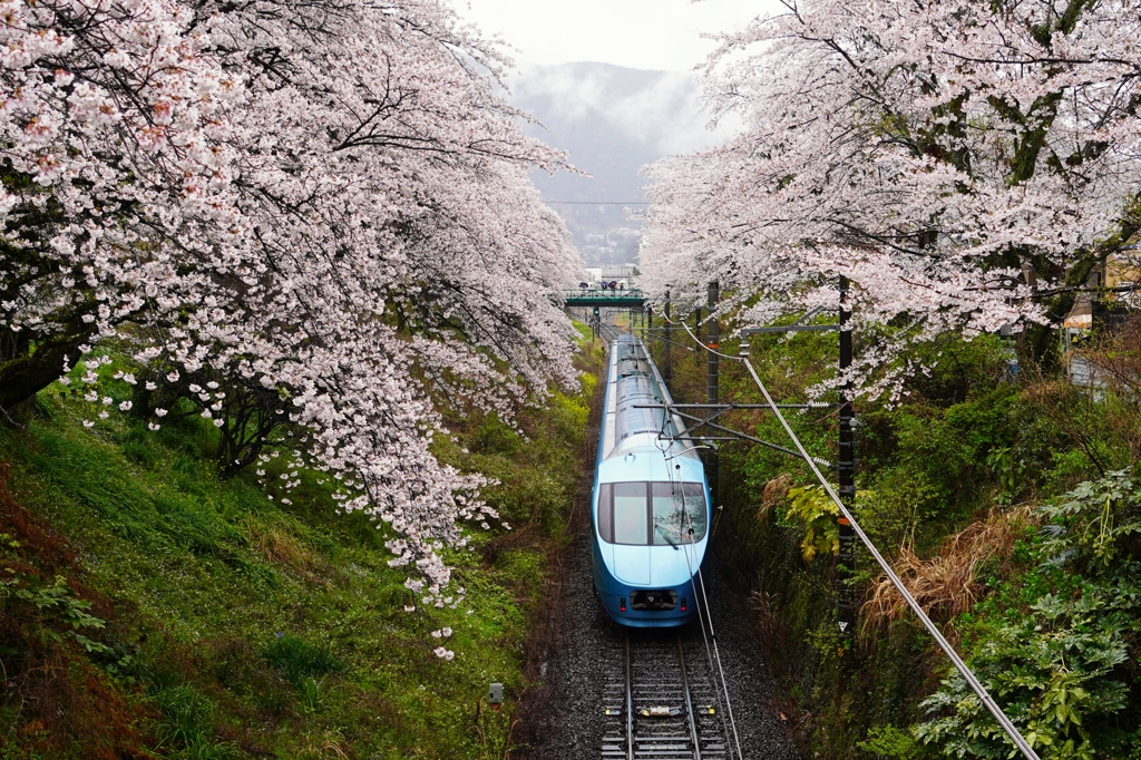 綺麗な電車