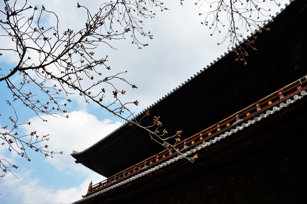 京都