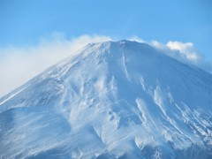 金時山からの富士