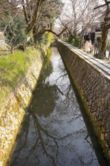 哲学の道