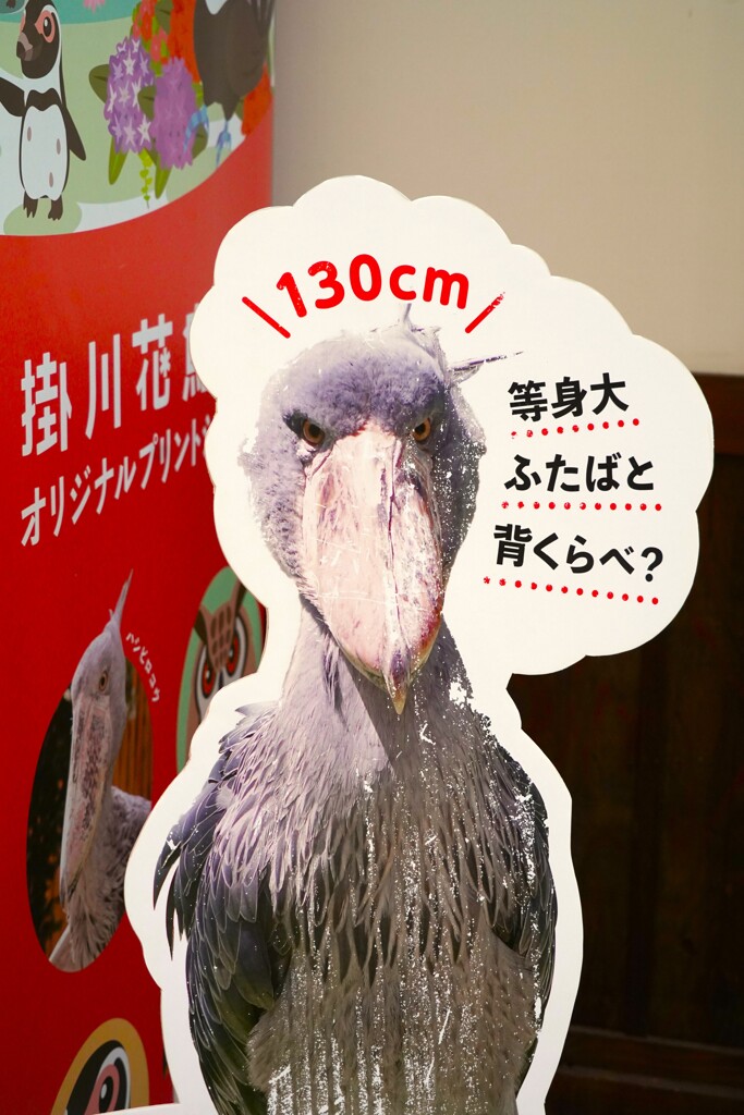 背が高いだよね
