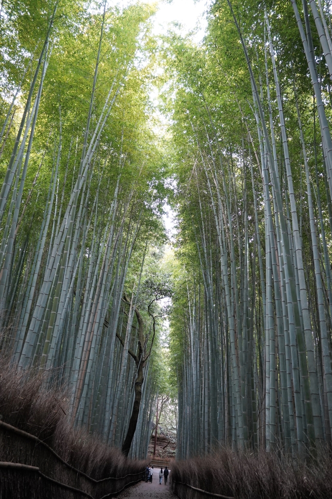 京都