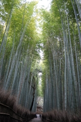 京都