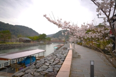 京都にて