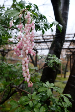 京都にて