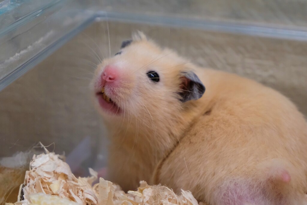 暑いね～