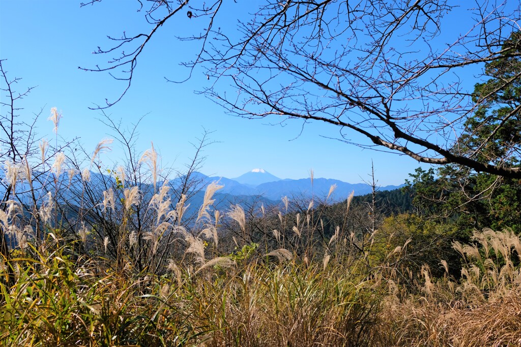 高尾山