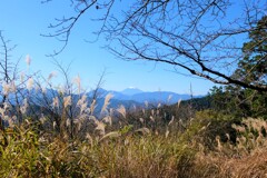 高尾山