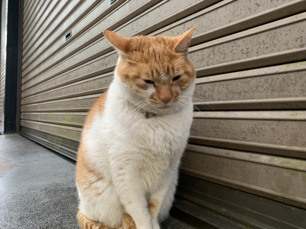 雨降りでもお見送り　ちょっと憂鬱な感じがかわいい