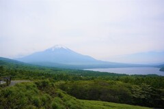 富士１００景
