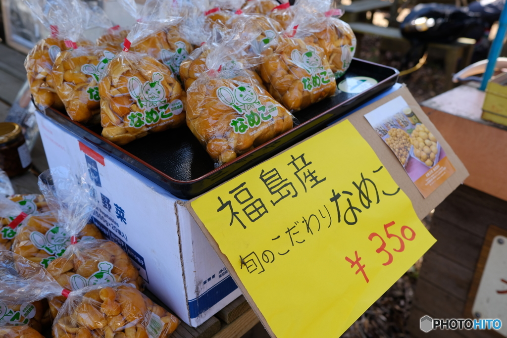 景信山でちがう産地のなめこ