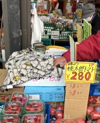 ねこ店長は引きこもり