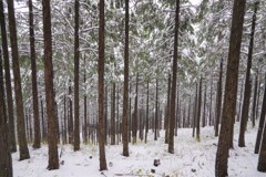 高尾山