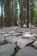 箱根の石畳