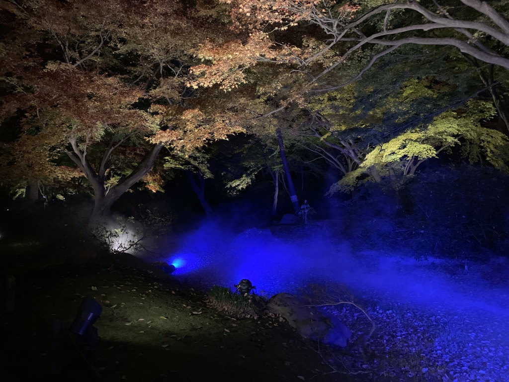 六義園ライトアップ