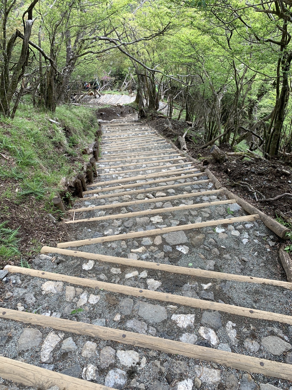 整備された登山道
