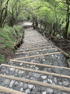 整備された登山道