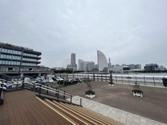 iPhone13pro 光学0.5倍