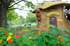 羊山公園　ぽてくま