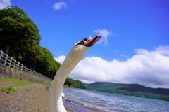 いい天気だな