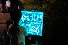 夜の方が興味津々