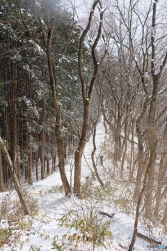 高尾山　2018