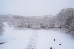 春なのか冬なのか