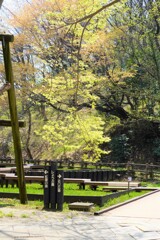 春の陽気