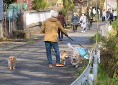 メニー　ソー　マッチ！！