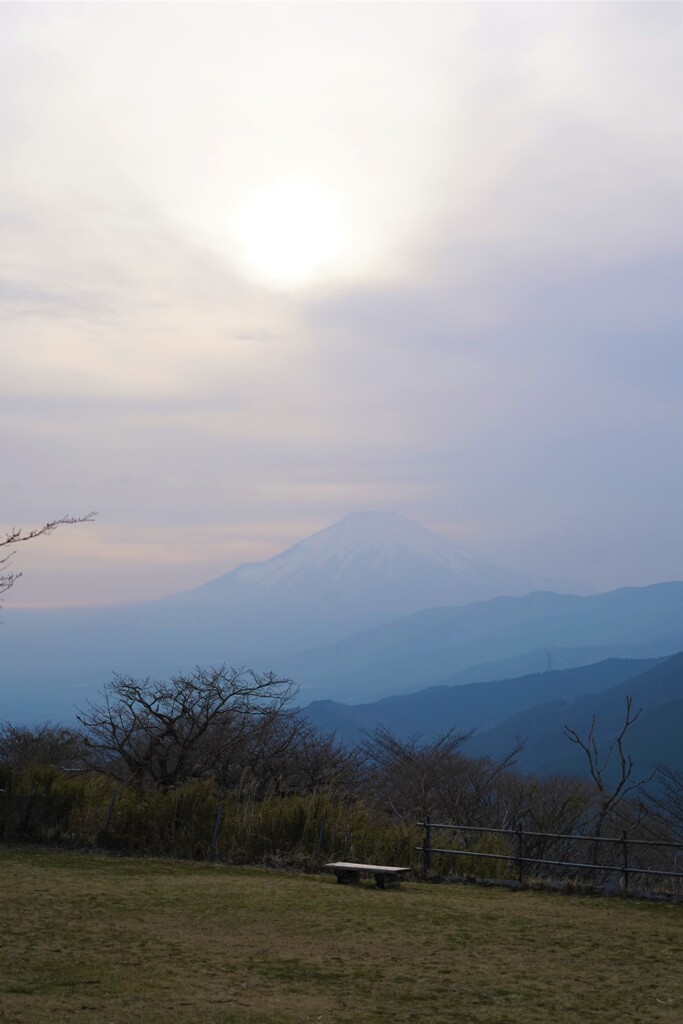 大野山からの富士山