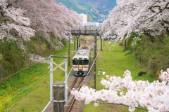 山北にて