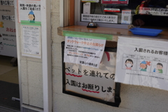 ダックウォークは・・・