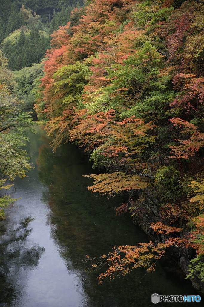 奥日光　紅葉狩り