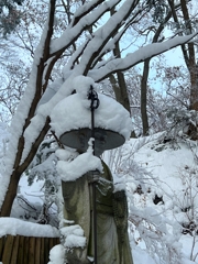 素敵な帽子