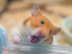 マジ開けて！！