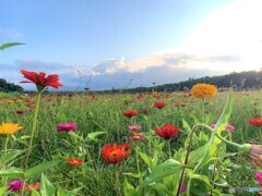 富士山はちょっと雲